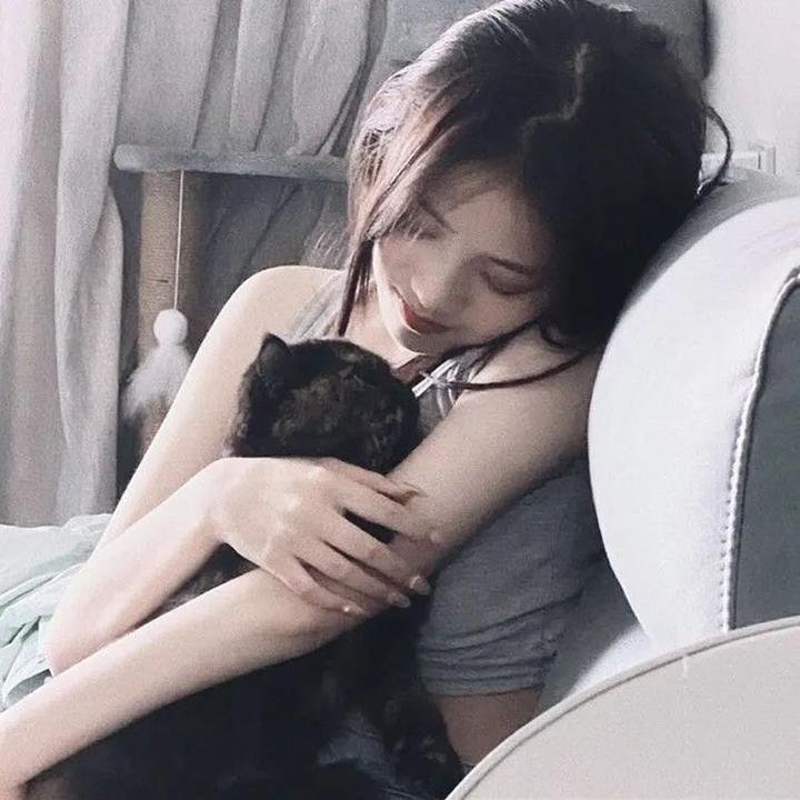 神秘小搭档之变色龙复仇记